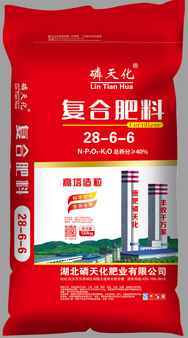 �ͺϷ���28-6-6